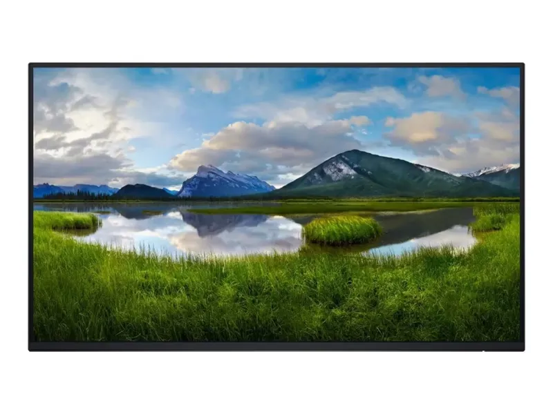 Dell 24" FHD IPS 100Hz
