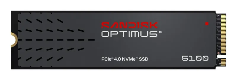 SanDisk 1TB 600xTBW rating diskas (v2)