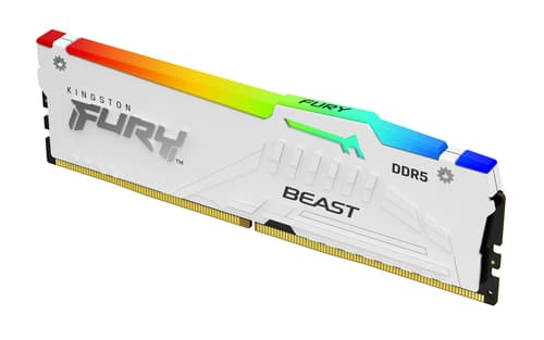 Kingston Technology FURY Beast RGB 1 x 32 GB 6000 MT/s 288-pin DIMM ECC