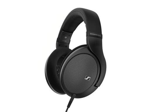 Slualke Sennheiser HD 550