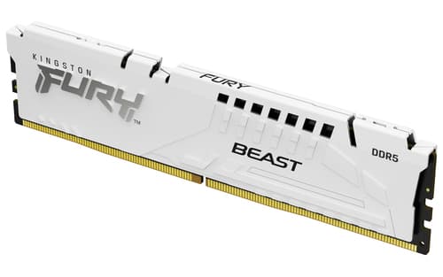 Kingston Technology FURY Beast 1 x 16 GB 5600 MT/s 288-pin DIMM