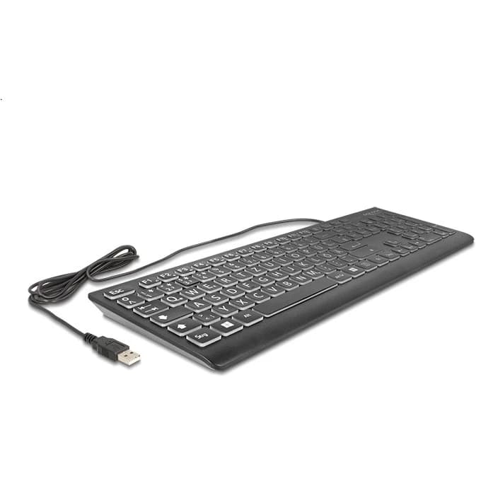 Delock USB Keyboard with XXL Letters and Illumination (Black) DE