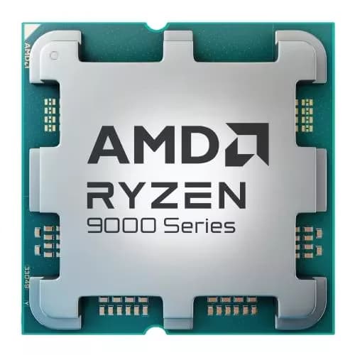 AMD Ryzen 9 9900X