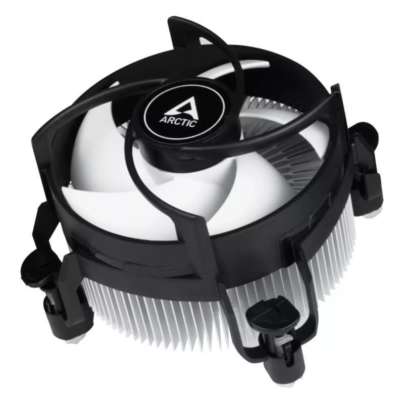 Arctic Alpine 17 (ACALP00040A)