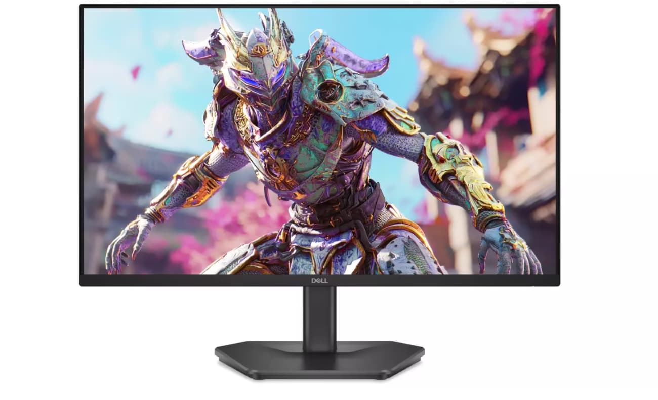 Dell LCD SE2426HG 24" FHD IPS