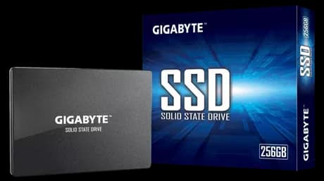 Gigabyte 256GB GP-GSTFS31256GTND